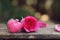 Single elegant pink color rose flower decorated with petals on wood table background, sweet valentine present concept