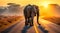 Single elephant walking in a road with the Sun from behind, AI Generative Illustration Graphic Design Art