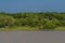 A single elephants go along the lake, Yala National Park, Sri Lanka