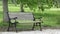 Single empty bench in spring nature, everything that looks forward to you