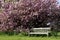 Single empty park bench