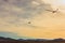 A single-engine aircraft tows a glider against the backdrop of mountains at sunset