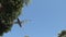 Single engine plane flying overhead