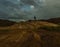 Single evergreen tree under dark clouds