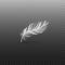 Single falling or hovering curved fluffy white feather realistic style