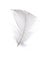 Single feather on white