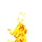 Single fire flame on white background