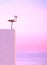 A single flamingo stands isolated on the facade of a pink building against a pink and purple sunset. Vertical illustration with