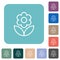 Single flower outline rounded square flat icons