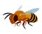 Single flying worker honeybee, logo or emblem