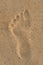 Single foot print on sand