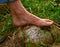 A single foot steps barefoot on a giant puffball, mushroom, a cloud of dust explodes into the environment