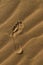 Single Footprint Of Bare Feet On Yellow Sand. Shiny Foot Imprint In Sand On The Beach In Summer.The Trace Of A Bare Left Foot On T