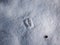 Single footprint of a roe deer in soft snow in winter