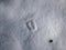 Single footprint of a roe deer in soft snow in winter
