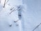 Single footprint of a roe deer in very deep snow in winter