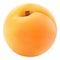 Single Fresh Apricot On A White Background.