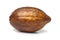 Single fresh cacao fruit