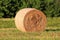 Single fresh large hay bale left in local field surrounded with uncut green grass and dense trees