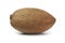 Single fresh ripe sapodilla