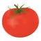 Single Fresh Ripe Tomato Isolated On A White Background.