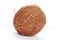 Single fuzzy brown coconut isolated on a white background