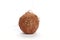 Single fuzzy coconut isolated on a white background