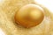 A single golden egg in the nest