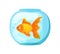 Single goldfish swimming in round glass bowl aquarium cartoon