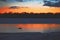Single Goose at Sunset on Lake