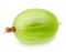 Single gooseberry isolated on a white background.