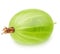 Single gooseberry isolated on a white background.