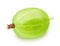 Single gooseberry isolated on a white background.