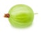 Single gooseberry isolated on a white background.