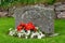 Single gravestone with red and white flowers