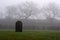 Single gravestone in a spooky graveyard