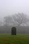 Single gravestone in a spooky graveyard