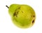 Single green anjou pear isolated on a white background