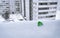 Single Green Birch Tree Leaf in the Snow on the Windowsill. Blurred Colorless High-Rise Residential Buildings in Background.