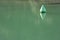 Single green bouy in the green water during daytime