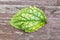 Single Green Leaf with Visible Large Veins on Wood