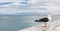 Single gull perched on a harbor stone wall with a seascape view behind in Cape Town, South Africa