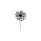 Single hand drawn dandelion. Vector illustration in doodle style. Isolate on a white background