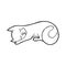 Single hand drawn sleeping cat. In doodle style, black outline isolated on white background. Cute element for card, social media