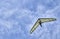 A single hang glider aginst a cloudy sky.