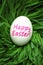 Single Happy Easter egg hidden in grass