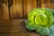 Single head of fresh green pointed sweetheart cabbage