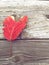 Single heart shaped leaf on a wood walkway