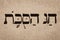 Single hebrew word Sukkot on page of old Torah book. Harvest Festival or Festival of Booths. Closeup