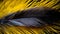 a single hen feather on black and yellow background